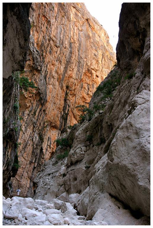 Casa Kianna Villa Dorgali Dış mekan fotoğraf